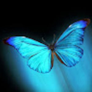 Meet your Posher, Ira